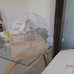 Nocleg ze śniadaniem Sirin Fethiye