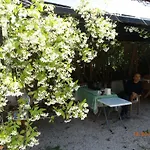 Nocleg ze śniadaniem Sirin