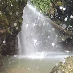 سيرين بينسيون فندق مبيت وإفطار 2*