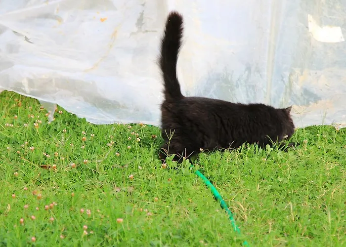 Sirin Frühstückspension 2*