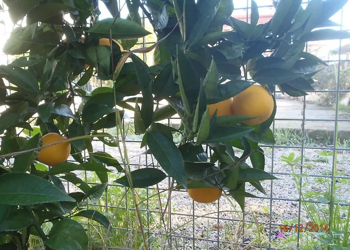 Sirin Frühstückspension 2*