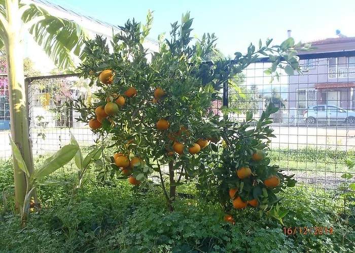 Sirin Frühstückspension 2*