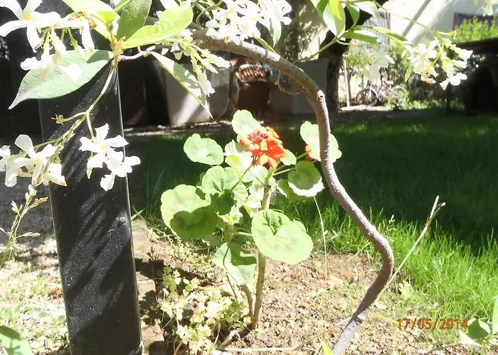 Sirin Frühstückspension