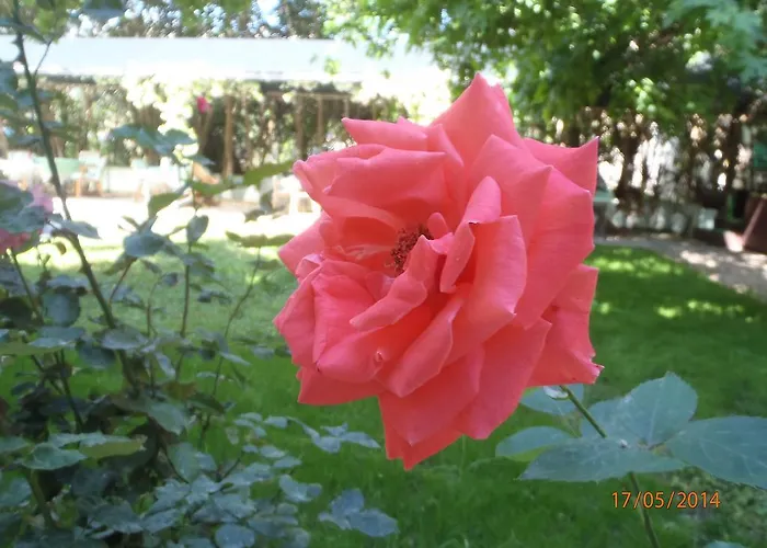 Sirin Frühstückspension