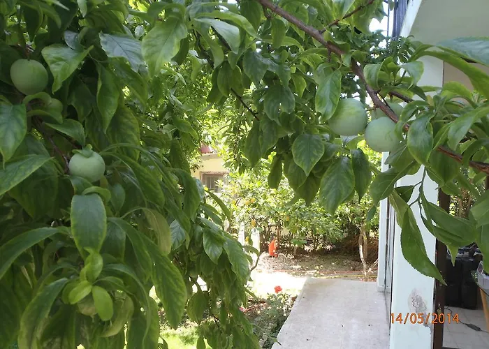 Frühstückspension Sirin 2*