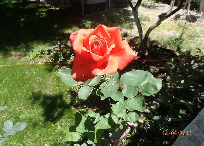 Sirin Frühstückspension