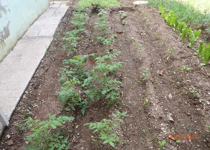 Sirin Frühstückspension