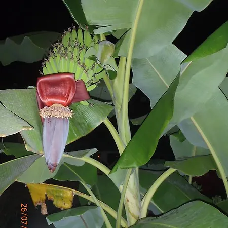 Bed and Breakfast Sirin 2*