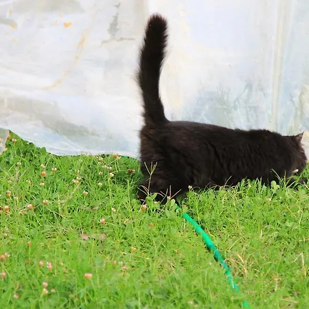 Sirin Bed and Breakfast 2*