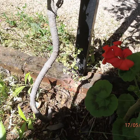 Sirin 2* Φετιγιέ