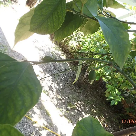 Bed and Breakfast Sirin