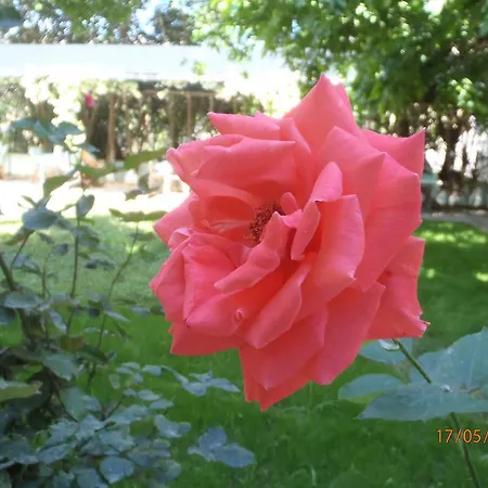 Sirin Alojamento de Acomodação e Pequeno-almoço