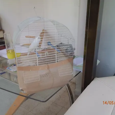 Alojamento de Acomodação e Pequeno-almoço Sirin Fethiye