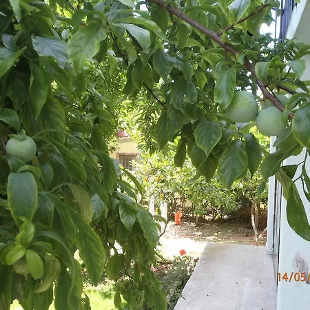 Alojamento de Acomodação e Pequeno-almoço Sirin 2*