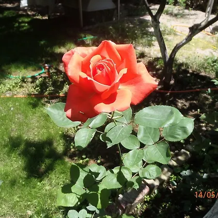 Sirin Bed & Breakfast