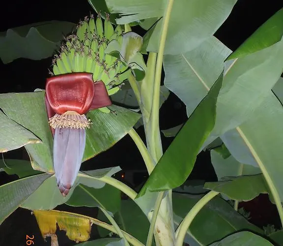 Bed & Breakfast Sirin 2*