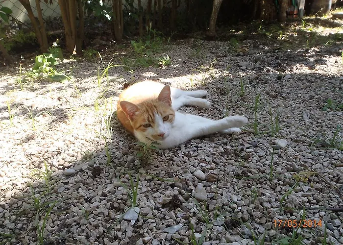 Bed & Breakfast Sirin