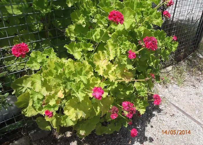 Sirin Bed & Breakfast Fethiye